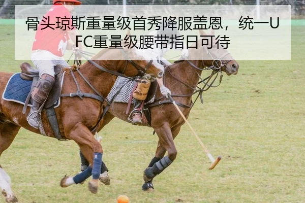骨头琼斯重量级首秀降服盖恩，统一UFC重量级腰带指日可待